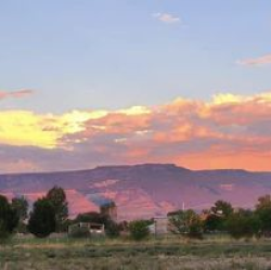 Logo for Lori Rienstra Logo for Lori Rienstra