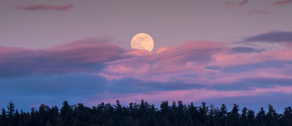 Full Moon Horizon_1150X500
