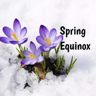Spring Equinox Singing Bowls Sound Meditation